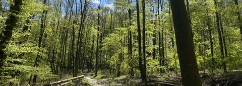 Willkommen bei Anjalia – schön, dass du da bist. Anjalia ist ein Ort für Fotografie, Seelenbegleitung und Herzensräume. Hier fließt alles ineinander und gehört zusammen – das Sichtbare und das Unsichtbare, Licht und Tiefe, Moment und Gefühl. Auch wenn meine Bereiche im ersten Moment verschieden wirken, entspringen sie derselben Essenz: Menschen zu sehen, zu berühren und das innere Licht sichtbar werden zu lassen. Ich wirke im Raum Lautertal, Bensheim, Heppenheim, an der Bergstraße und begleite Menschen in ganz Deutschland sowie online. Hier findest du meine Wirkungsbereiche: – Anjalia Lichtblicke – Fotografie – Anjalia Seelenblicke – Seelenarbeit & Begleitung – Anjalia Herzraum – Gruppenräume & Workshops – Anjalia Herzstücke – Shop (in Planung)